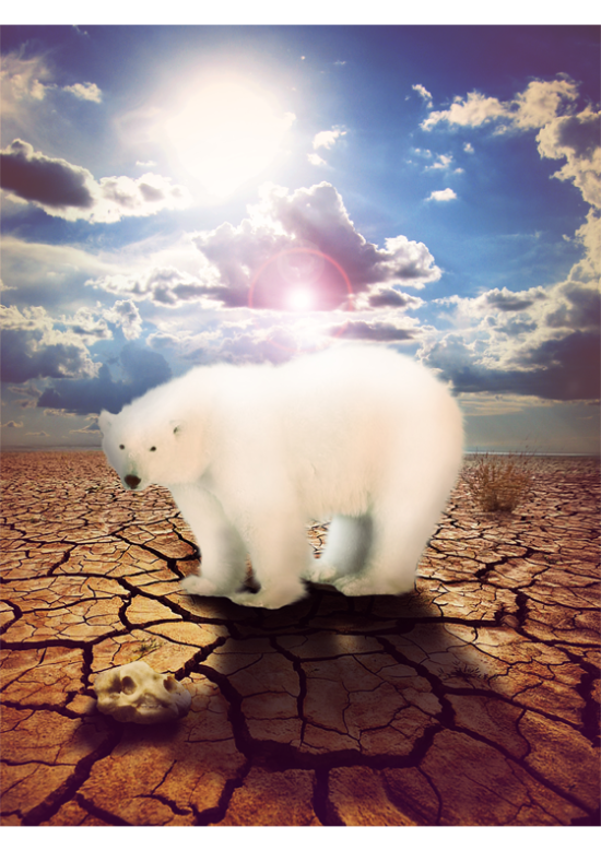 polar_heat